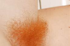 red bush pussy pubes ginger hairy