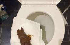poop shit pholder do fiber redd