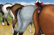 anus deletion related equine anatomically tbib
