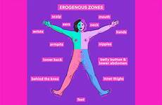 erogenous zones slice genitalia