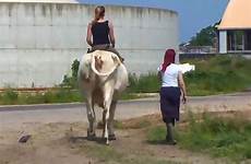 cow cen ridden cowgirl teenage trains horse viraltab credit