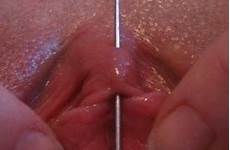 clit clitoris needles pussymodsgalore comics hood labia piercings modification genital pierced porno huge tumbex