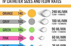 intravenous catheter pediatric sizes veterinary vet tech procedure catheters punzocat cateter technician tubing