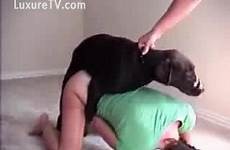 puppy sex training