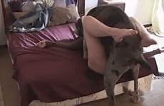 dog wife caught hidden fucks woman xxx camera fucking sex videos dane great pet fucked her mom animal homemade amateur