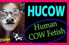 hucow human cow fetish