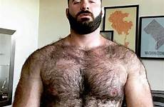 bears daddys chest
