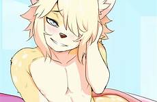 furry tokifuji solo newhalf canine femboy xxx nude yiff eyes waking artist just bed comments patreon dreamy post respond edit