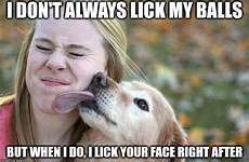 licking dog lick balls meme dogs face memes funny imgflip don after