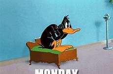 gifs duck daffy daily monday gifdump mix funny morning coffee cartoon gif mondays tunes animated sad looney animation fun theberry