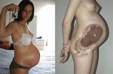 breeding pregnant interracial bred got cumception xxxneoncity impregnation