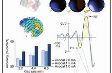 stimulation reinhart immediately spatial cortex