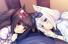 nekopara vanilla chocola azuki cinnamon