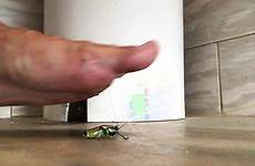 crush bug barefoot videos thisvid feet male likes ago months