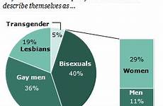 lgbt gay lesbian statistics percent gays americans percentage survey population pew bisexuals people chart transgender pie lesbians men america male