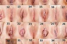 vaginas types vagina