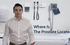 prostate gland prostrate does cancer