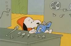 gif peanuts reading brown charlie snoopy elected gifs giphy youre everything has