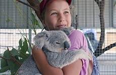 izzy koala koalas netflix veterinarian ailing orphaned
