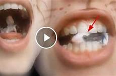 swallows mouse alive swallow viral disgusting todays shocking viralsharer chewing