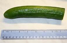 penis cucumber falls