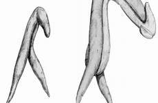 female vagina clitoris orgasm spot penis male women vaginal don myth wife myths left right