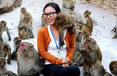 macaque tourist breast female monkey animal japanese groping china off little paws keep his mischievous cheeky scroll down
