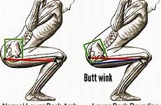 squat wink flexion lumbar maximus gluteus glutes squats squatting occurs contribute caused stretches fittipdaily