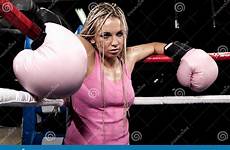 fight stock knockout punch dreamstime