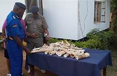 busia intercepted comander inspecting uganda
