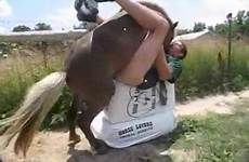 horse fucking guy ass outdoor zoophilia videos