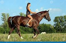 riding horse girl bareback beautiful summer fields evening cowgirl preview