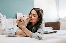 baisers chiens aiment compagnie