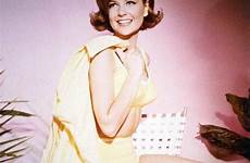 shelley fabares shelly reed ann marie