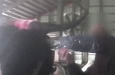 cow destroyed artificial insemination inseminating