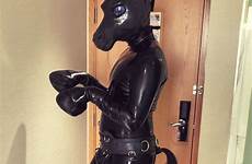 ponyplay rubber ponies transformed