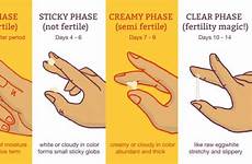 mucus cervical ovulation discharge pregnancy fertility vaginal fluid pregnant pcos menstrual mucous implantation watery fertile cervix bleeding pcosdietsupport creamy phases