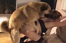 mature dog zoo her doggy videos impaled pose nerdy gets female style tube