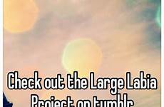 labia project tumblr