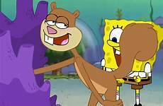 spongebob sandy cheeks sex xxx nickelodeon squirrel rule34 gif squarepants rule animated rodent respond edit