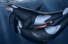 killer baleine orca poilu filles rule yaoi