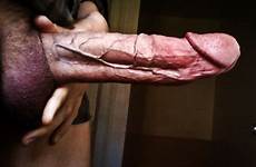 veiny cocks erect