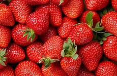 fraise fraises