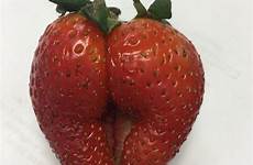 fruit vaginas produce nsfw vegetables weird slang nearly dialogue
