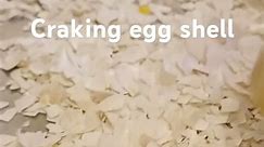 Egg Shell For Fertilizer @adonayvlog6466 #asmrsounds #eggshellfertilizer