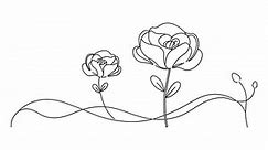 Poppy flowers line art, Continuous line draw Full length single line animation