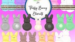 Fluffy Bunny Easter Clipart Elements