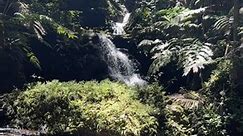 Waterfalls inside the tropical botanical garden. #hawaii #botanicalgardens #tropical #waterfall | Bobby Murphy