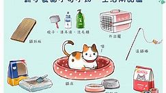 iPet愛寵物／新手養貓不可不知 — 生活用品篇 | ETtoday寵物雲 | ETtoday新聞雲