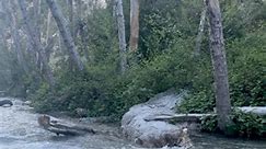 Mt Baldy. California. #fypシ #mtbaldysummit #mtbaldy #nature #naturelovers #ViajesNaturaleza #creeks #rekaxtime | ViajesNaturaleza